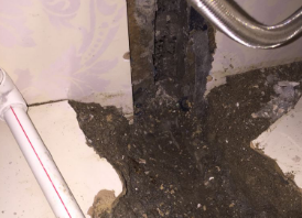 遂平卫生间测漏水哪家好