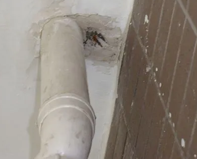 遂平漏水检测哪家好